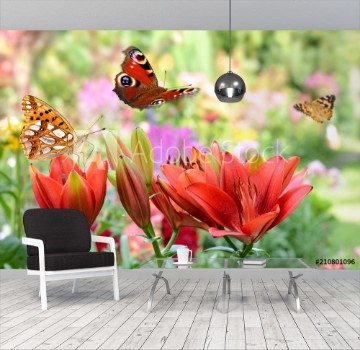 Picture of Schmetterling 443